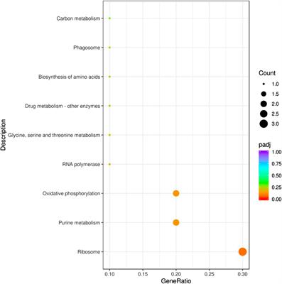 Effects of larval exposure to the insecticide flumethrin on the development of honeybee (Apis mellifera) workers